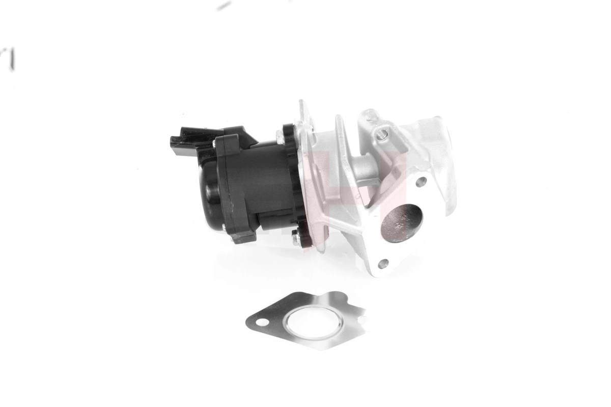 Válvula de regulación de gases Ford Fiesta V desde 88,57 €