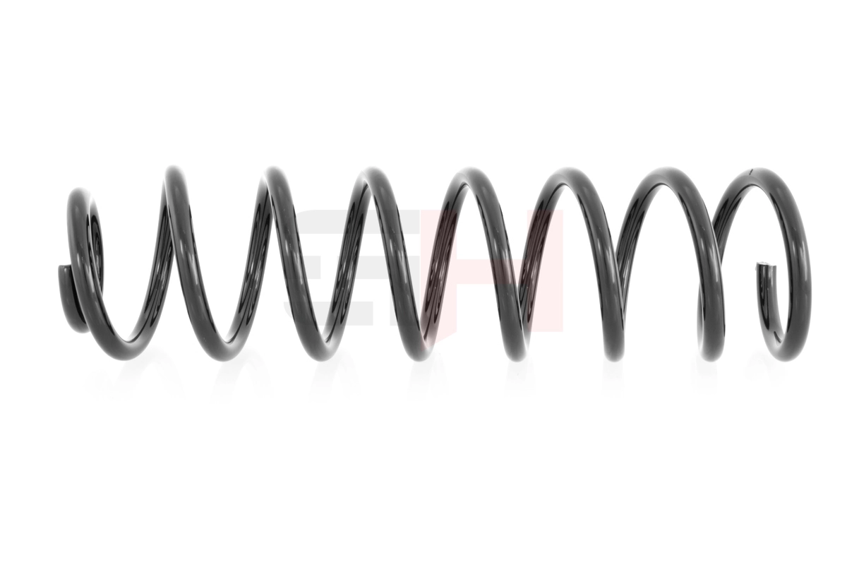  Muelle trasero Renault Megane 2