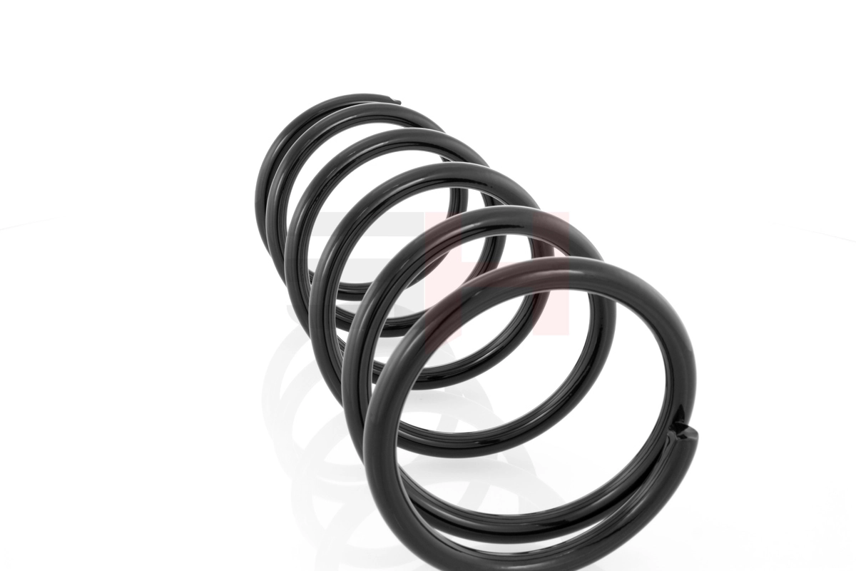 GH224401 GH Muelle trasero