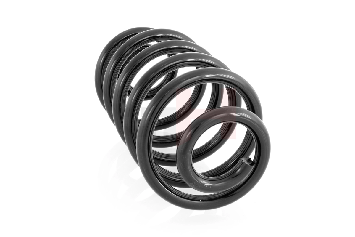GH223618 GH Muelle trasero