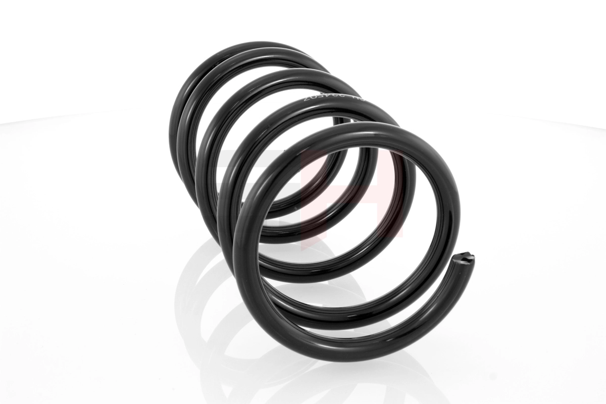 GH224507 GH Muelle trasero