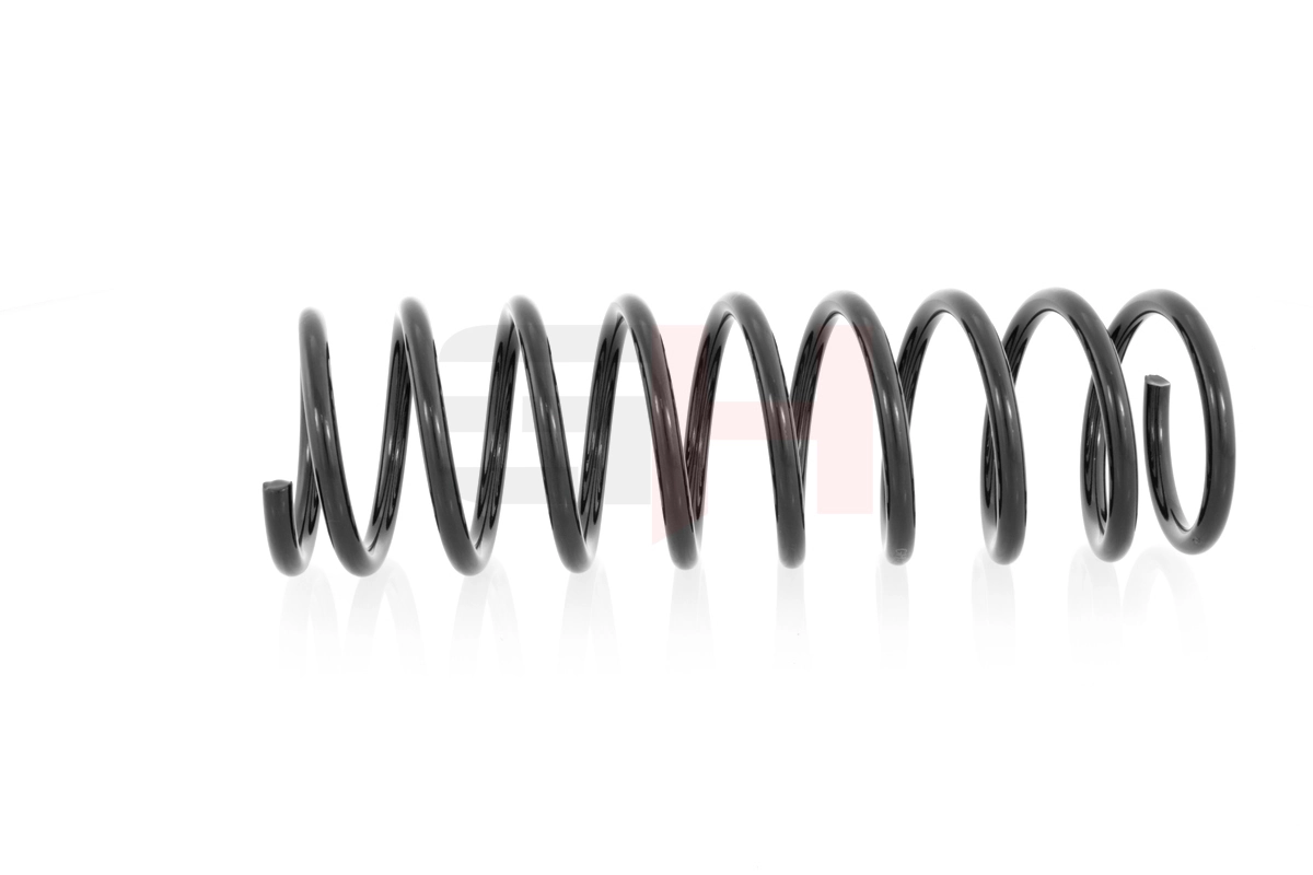 Muelle de suspensión trasero Ford Fiesta IV desde 31,97 €