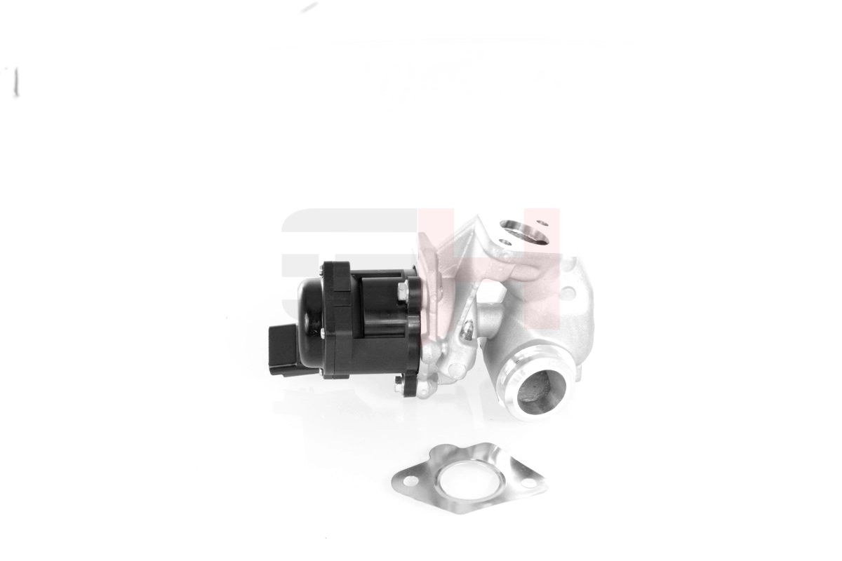 Válvula EGR 1638155480 Peugeot/Citroen