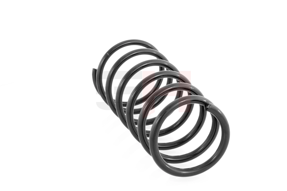 GH222507 GH Muelle trasero