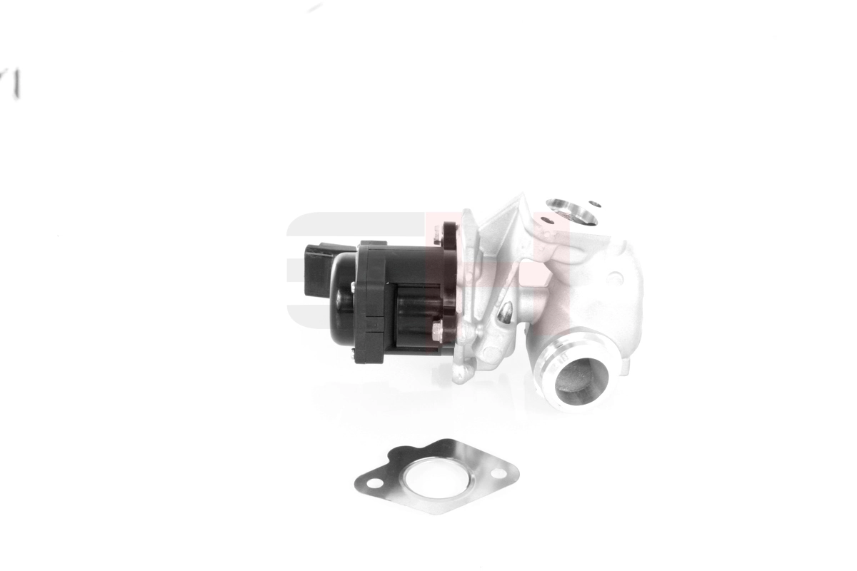 GH731904 GH