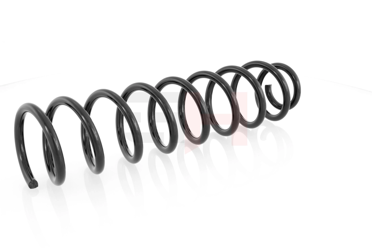 Muelle delantero Raiso SF263TP precio, desde 30,21 EUR