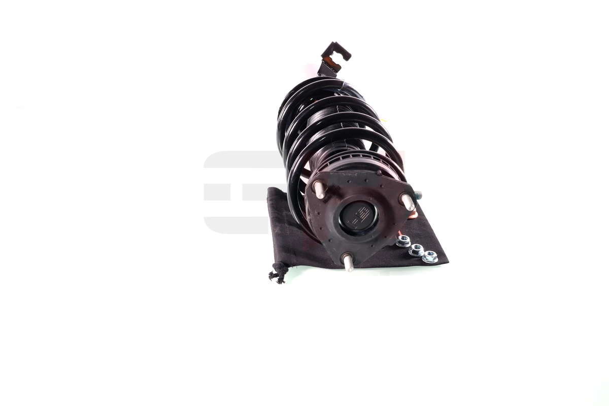 GH352555C01 GH Muelle delantero