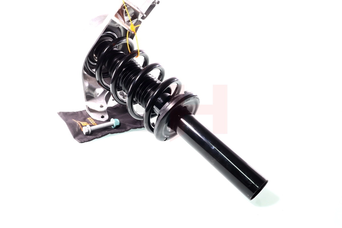 Muelles delantero Goodrem RP0135