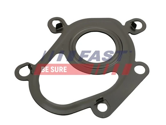 FT48806 Fast