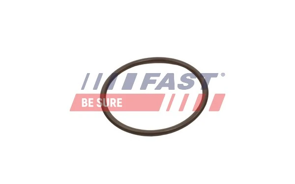 FT49933 Fast