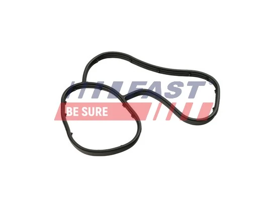 FT48941 Fast