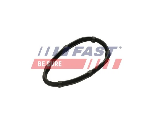 FT49457 Fast