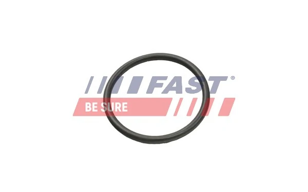 FT49935 Fast 