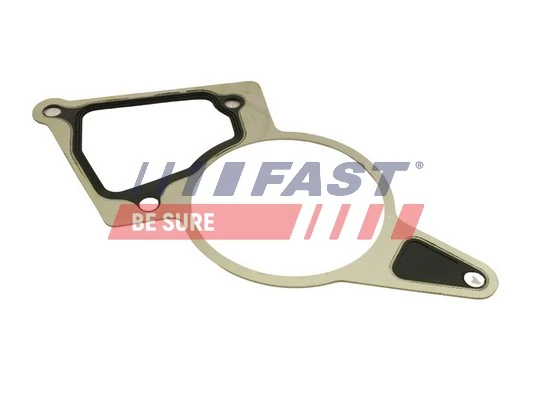 Junta de la bomba de vacío 9676973280 Fiat/Alfa/Lancia