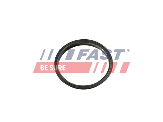 FT49853 Fast
