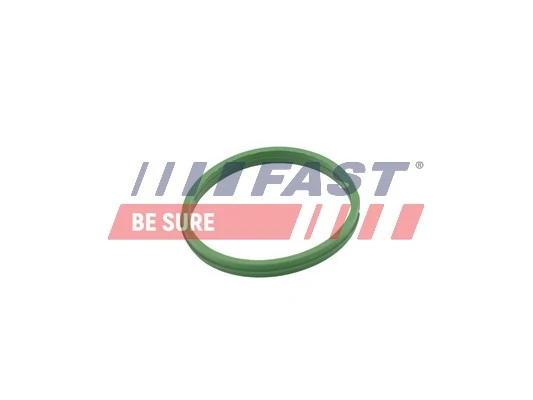 FT49855 Fast
