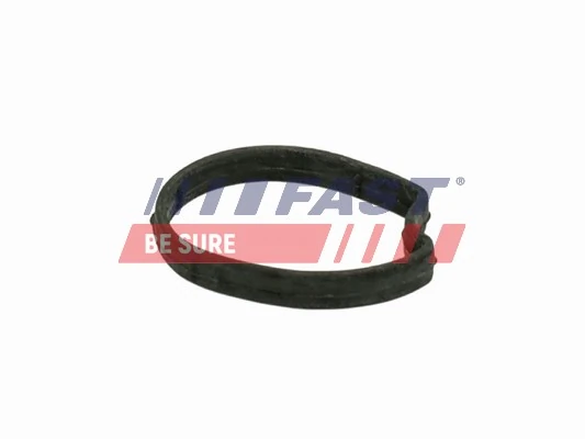 FT58301 Fast