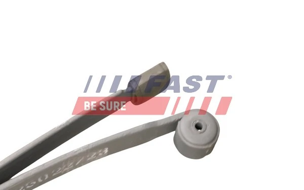 Ballesta trasera  Ford Transit VI