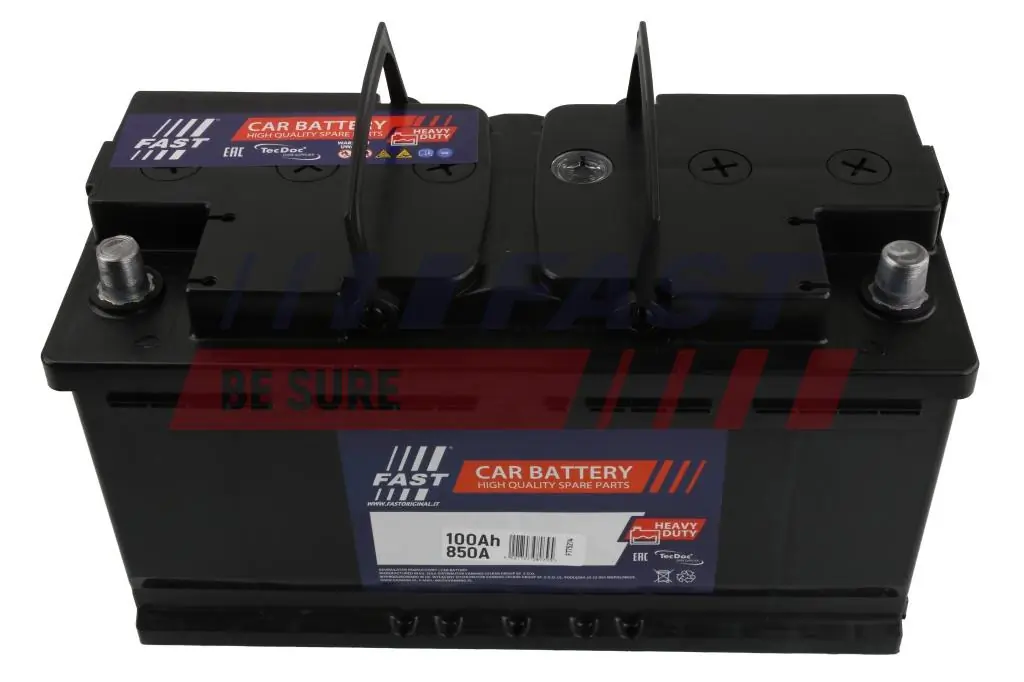 FAST FT75214 batería de arranque Peugeot 407