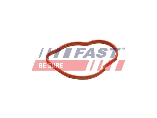 FT58305 Fast