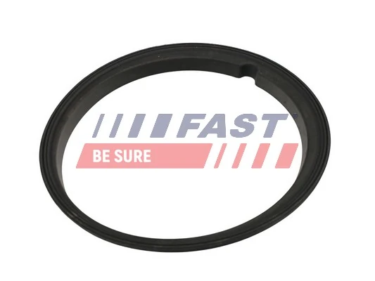FT48502 Fast