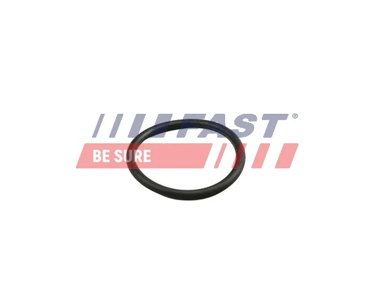 FT49919 Fast