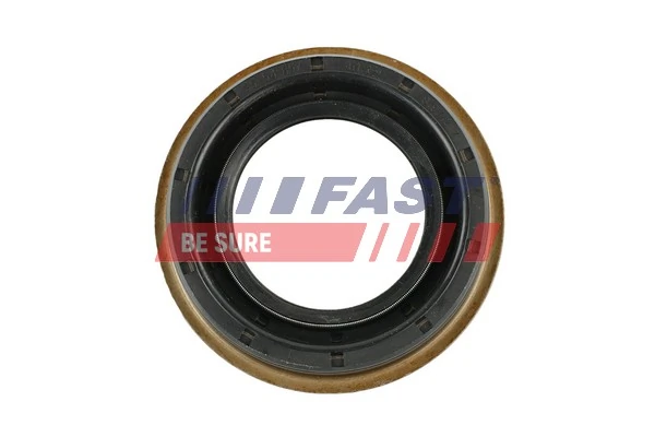 FT49717 Fast