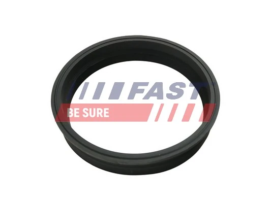 FT48501 Fast