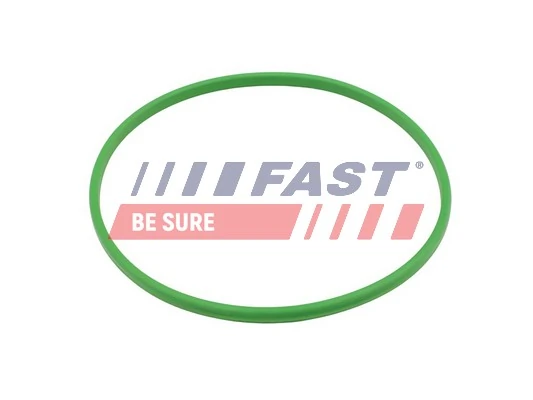 FT48503 Fast
