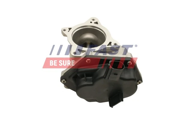 Comprar FT60241 Fast Válvula EGR