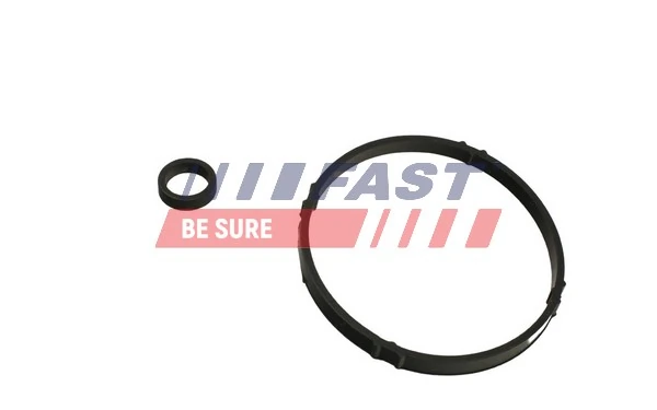 FT48952 Fast