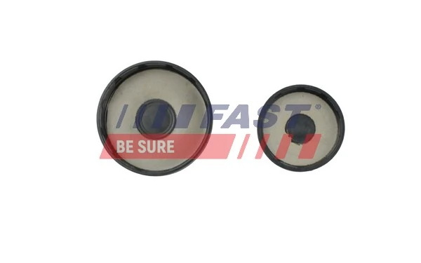 Tapon de bloque del motor Renault Clio II