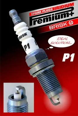1619 Brisk
