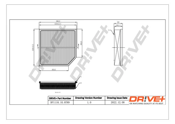 DP1110100789 Dr!ve+