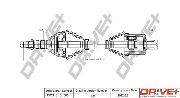 DP2110101005 Dr!ve+
