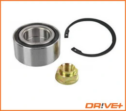 DP2010100204 Dr!ve+