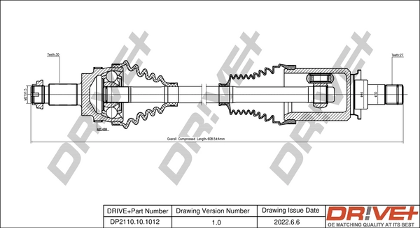 DP2110101012 Dr!ve+