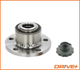 DP2010100090 Dr!ve+
