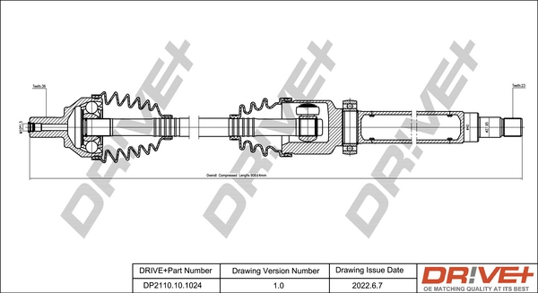 DP2110101024 Dr!ve+