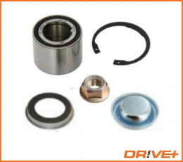 DP2010100208 Dr!ve+