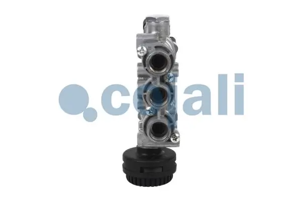 2209425 Cojali