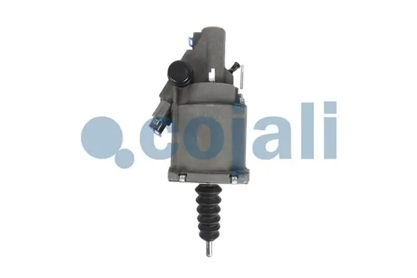 2550803 Cojali