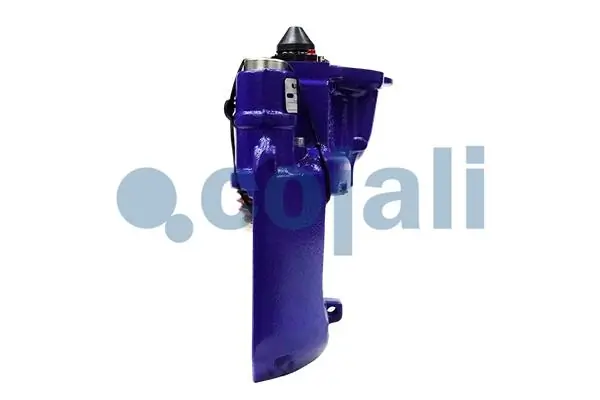  359005 Cojali