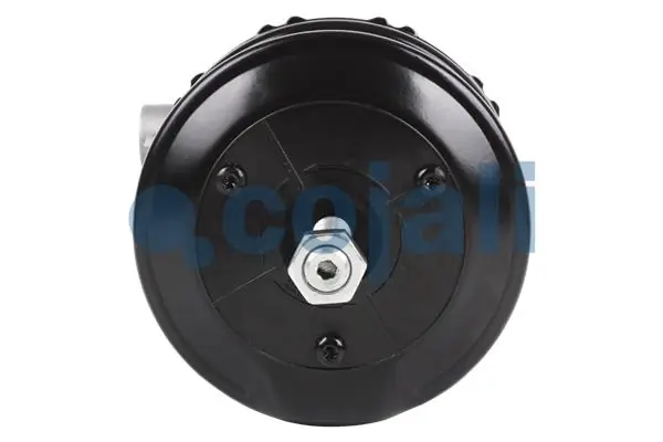 Cámara de freno con acumulador de energía MAN 81504106583 precio, desde 255,74 EUR