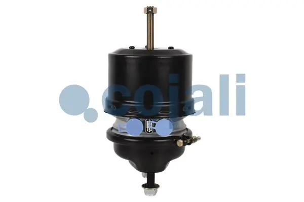 2251510 Cojali