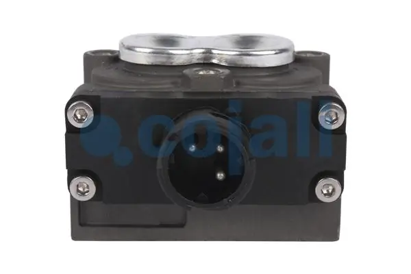 2818005 Cojali
