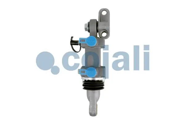 2516002 Cojali