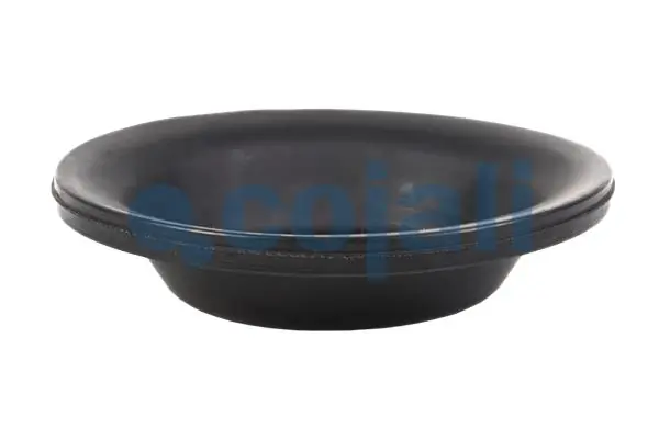 Comprar 0222030100 BPW Membrana de cámara de freno