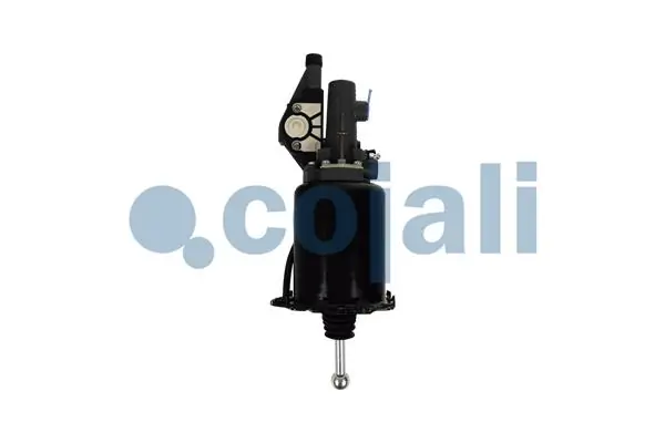 2250341 Cojali