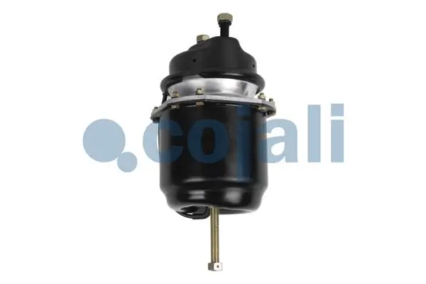 Cámara de freno con acumulador de energía Scania 1912986